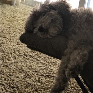 Don't lay on the couch hoping the price will drop